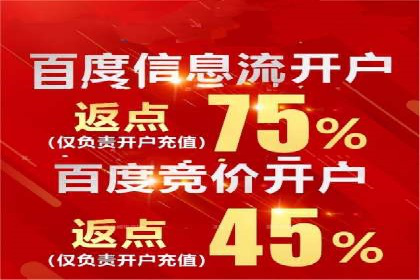 竞价SEM托管案例：精准营销的利器